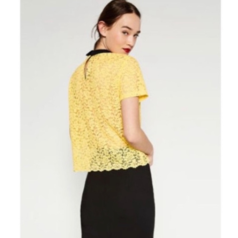 S💛 Zara Woman Yellow Lace Peter Pan Collar Lace Top Short Sleeve Blouse Shirt